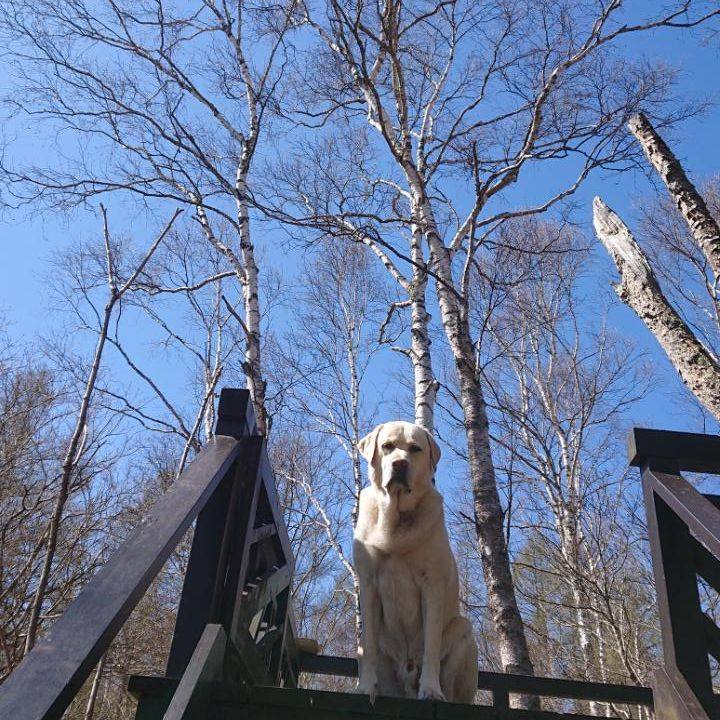 31c793e6 36b3 46e3 8b7d bc6b4ef809e2 1588901501783