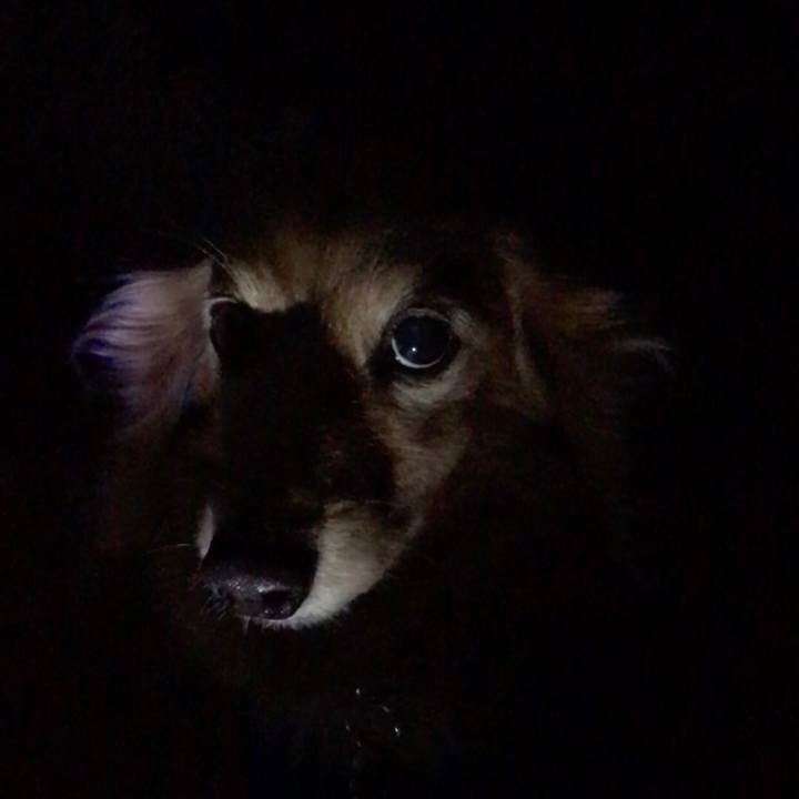 31c79b2a 9140 43f0 a03f 1c208f6d42ea 1575888469278