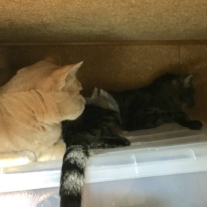 31c7bf30 13dd 4b79 b02c 01b85462e87c 1534902634533