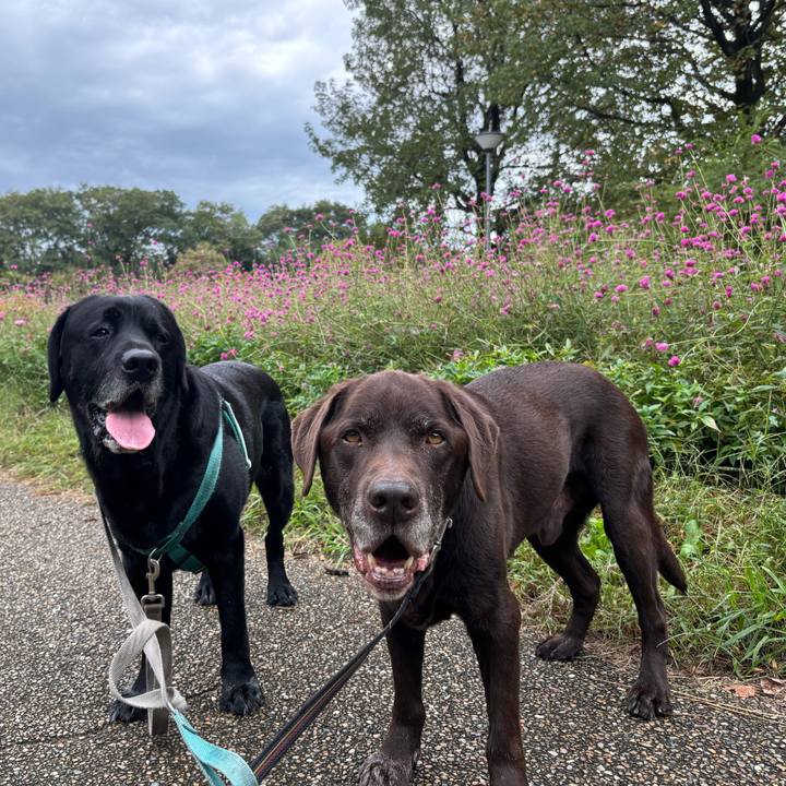 31c7dfba c6df 44a7 8d46 7d11833c4ca1 1760964275378