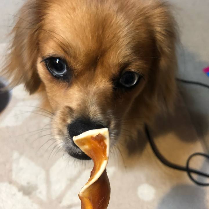 31c80e7b 2b20 426e b45a 7e20bcd2fb5a 1537307893057