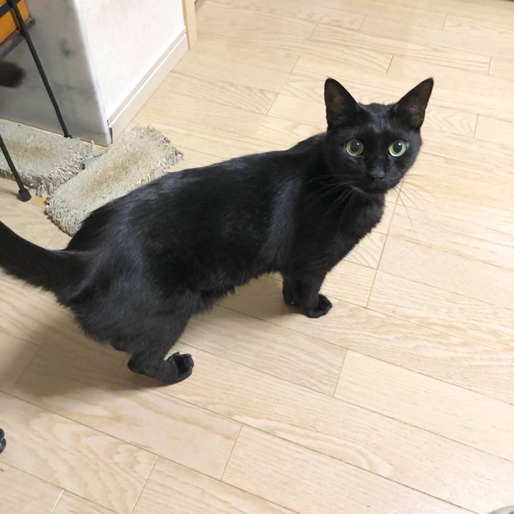 31c827c1 223f 4dea 8283 25ab7dfce576 1593263253670