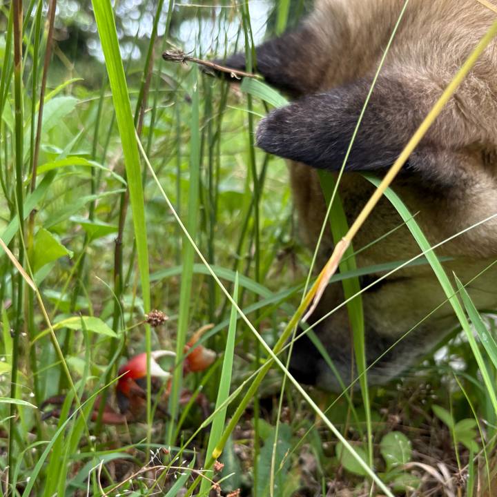 31c85a52 3680 4218 807e b99d780d9213 1750500967474