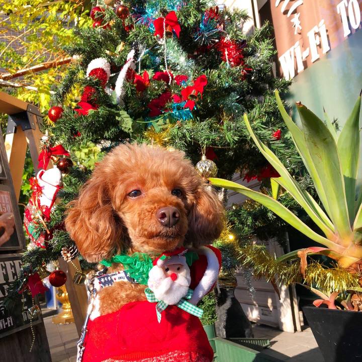 31c878b1 ec4d 4905 bab9 472083f83a13 1607236506039