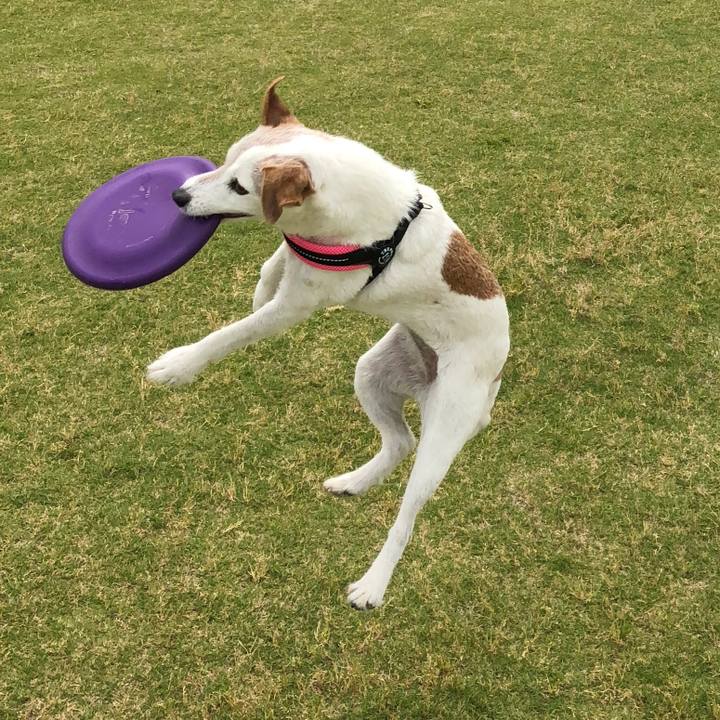 31c8da2d 6473 4e23 a273 7dd470c7d8ec 1527415172268