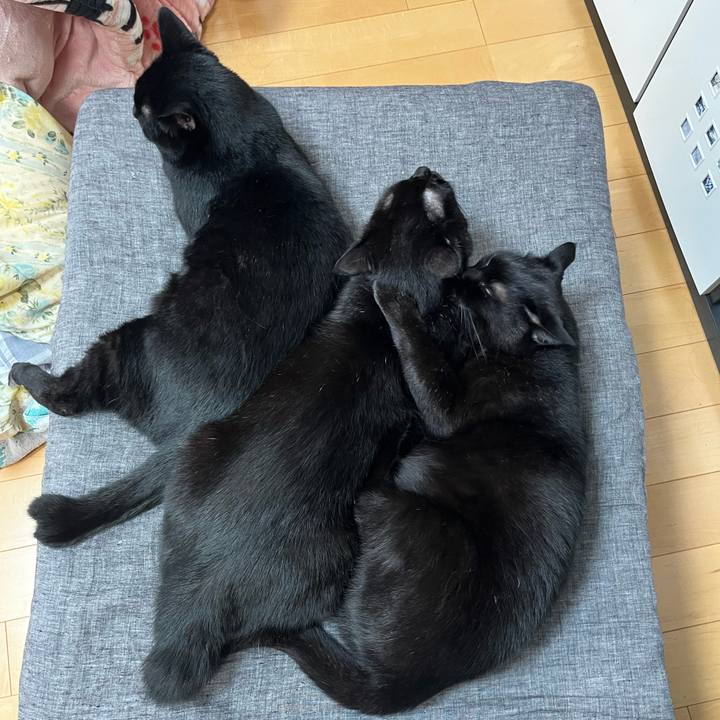 31c9014b c184 4d2c a22a 50cc3adc8447 1729224289773