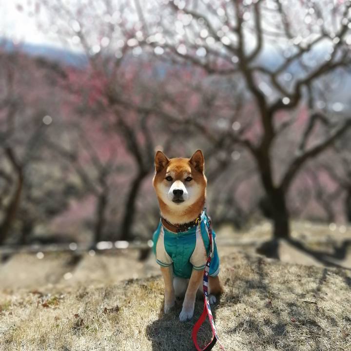 31c9017d 2092 42d3 96b7 f9cbdf054537 1645542486127