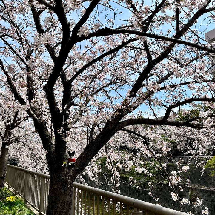 31c91a08 bb3c 4e5d 902f 7df9c9f157b9 1680444611421