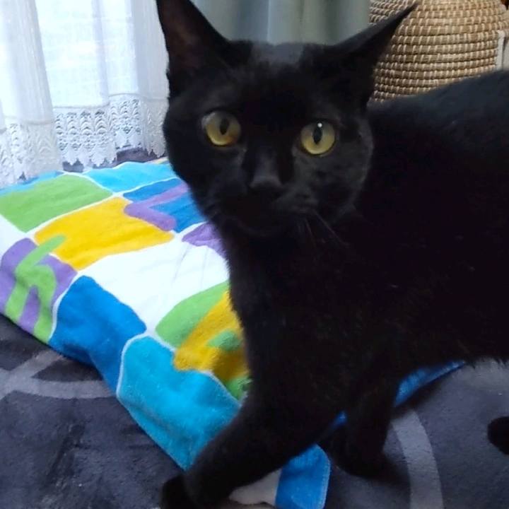 31c91ea6 0c09 4e0b ab3b f2f474d478bb 1670314156787