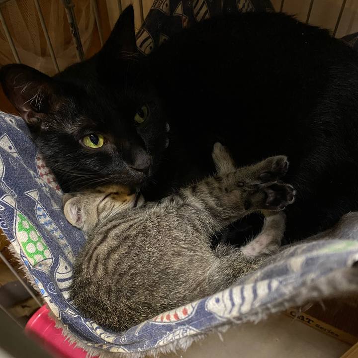 31c94302 7e35 4bdc 85e2 6cad0f77d91d 1600503826169