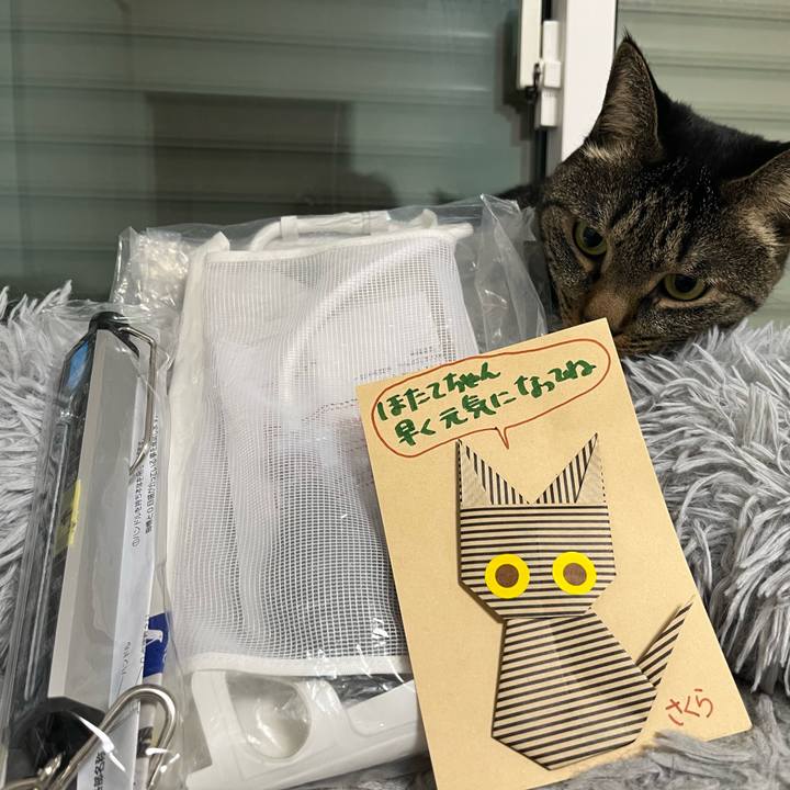 31c96b26 e24b 4ffe a853 06e315988b39 1764676859988