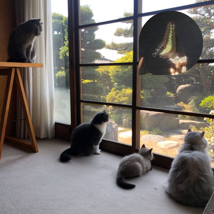 31c96b31 a750 460b 849a 6db37ebbdcdc 1588123380113