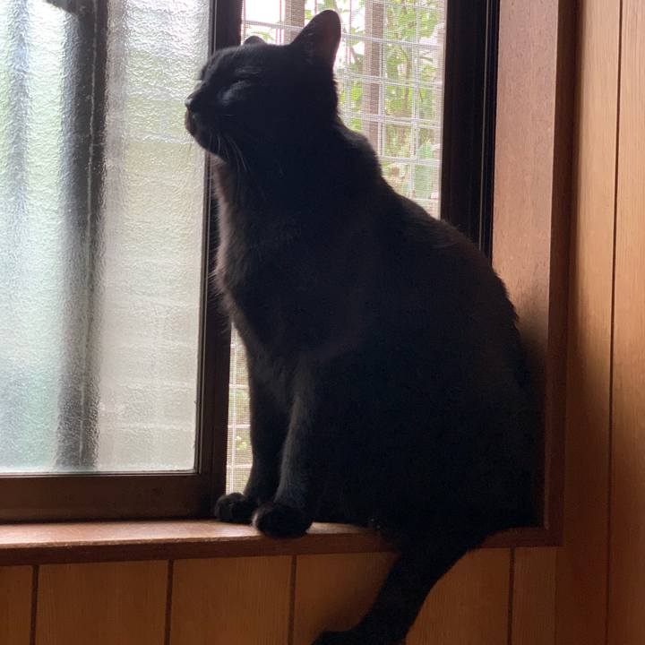 31c9b7f5 5447 4f7c bab6 9870eb4a4ddc 1540257993560