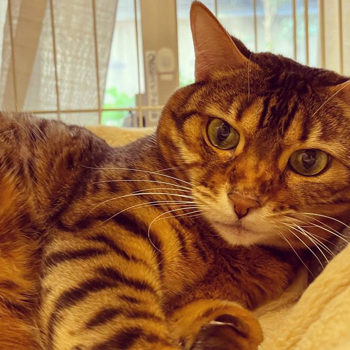 31c9cbaf ddec 40b4 b596 c7168469a338 1646703480232