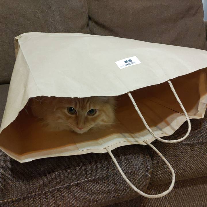 31c9ce3e 09c4 478b 8542 94d242a8bc46 1653215012819