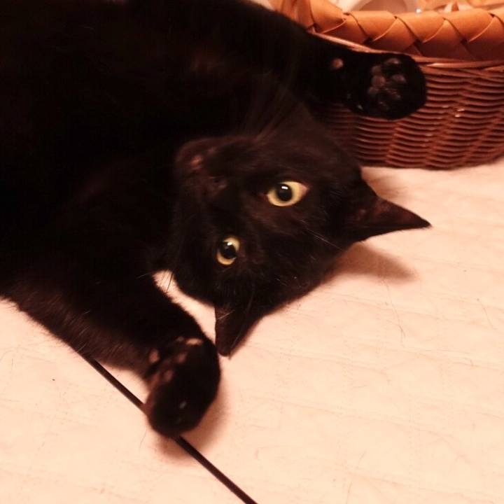 31c9daa0 d3ac 4e8e 9cf1 3cb9055953e3 1512312350257