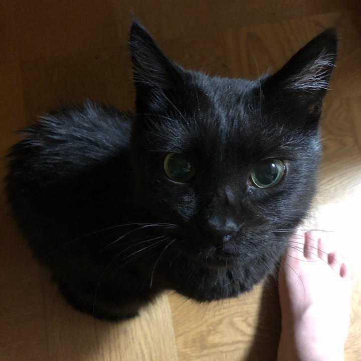 31c9e726 626d 4245 bdb5 4fb00ffcff93 1567259094905