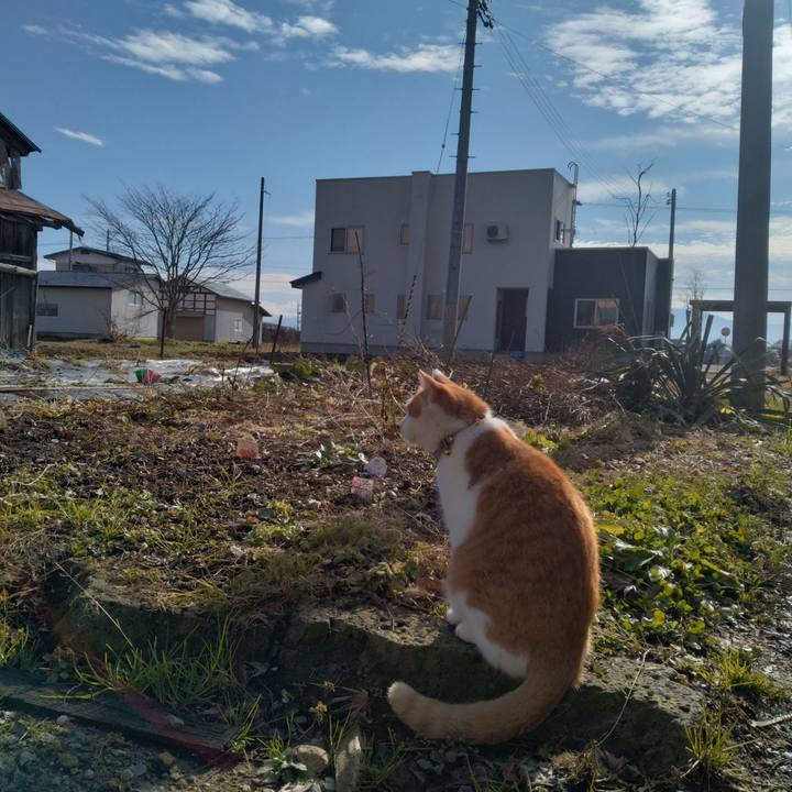 31c9e778 bb37 4d13 be52 4334c832ccd4 1766290591814