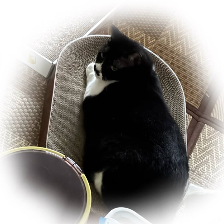 31c9ece5 5df5 4304 b40e 270dc0ebd474 1747381823830