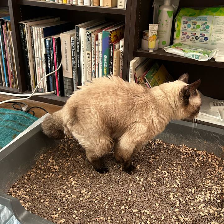 31ca5a0d 713d 456b 9d84 e1f0e872af6e 1716597953562