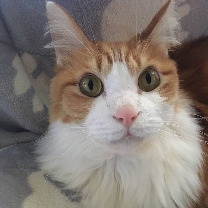 31ca6654 b3a7 4012 8621 b50c6e8324e5 1576129727278