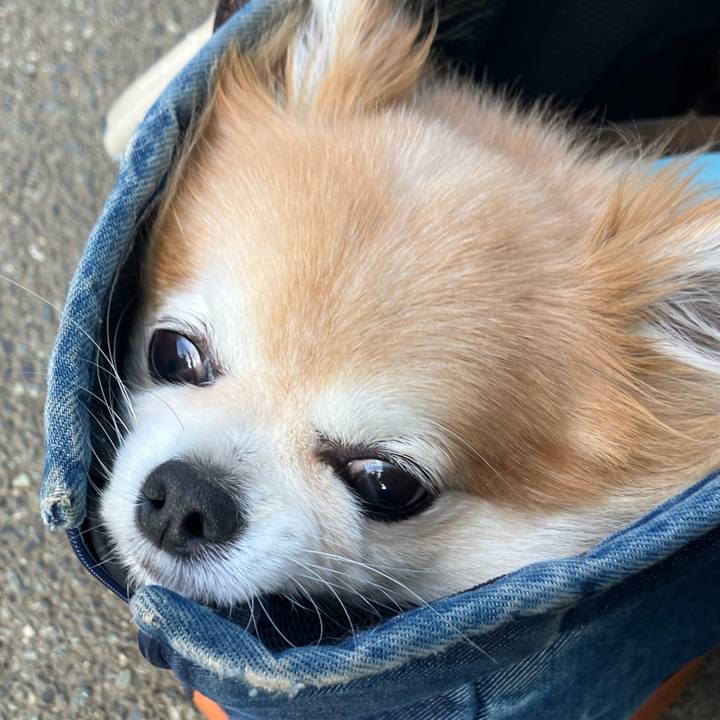 31ca6a7f f78f 424e 87ee 78a67fa324d5 1752104119505