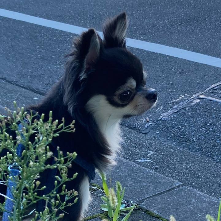 31ca88ca ca88 45e3 9e71 75bde7cdc19e 1632145553112