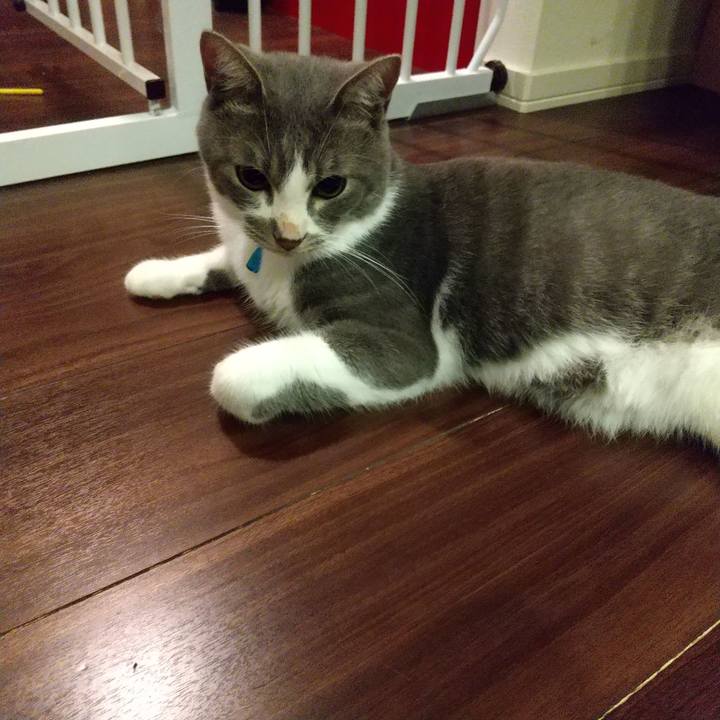 31ca92c0 bbf4 423d b1ff 969cbee0add2 1598455999950