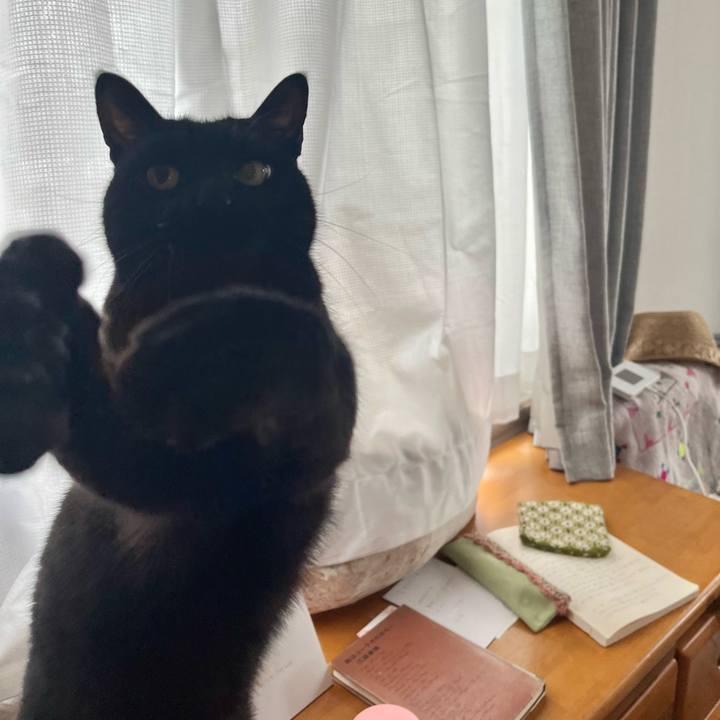 31caa44d df71 494e 998a 2ef4d4a3413b 1677295882479