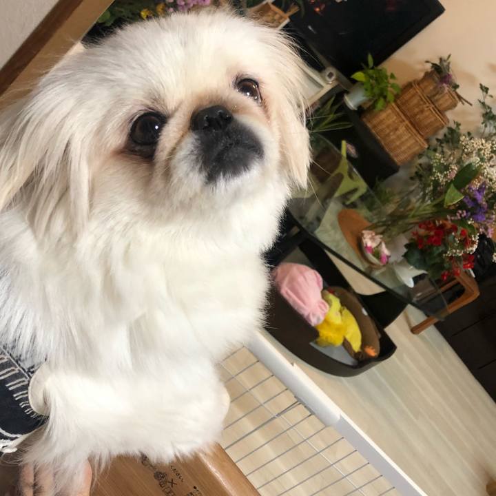 31cb0125 e2fe 426f 863e 012f46d3c13d 1563400307991