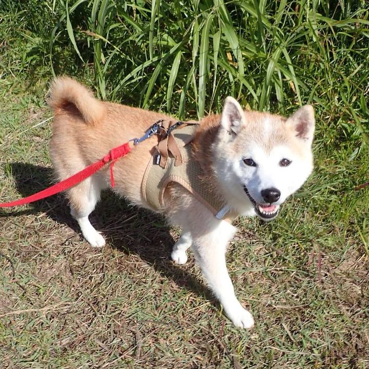 31cb0694 0883 4060 b5ae 41c24f70f846 1762385530242