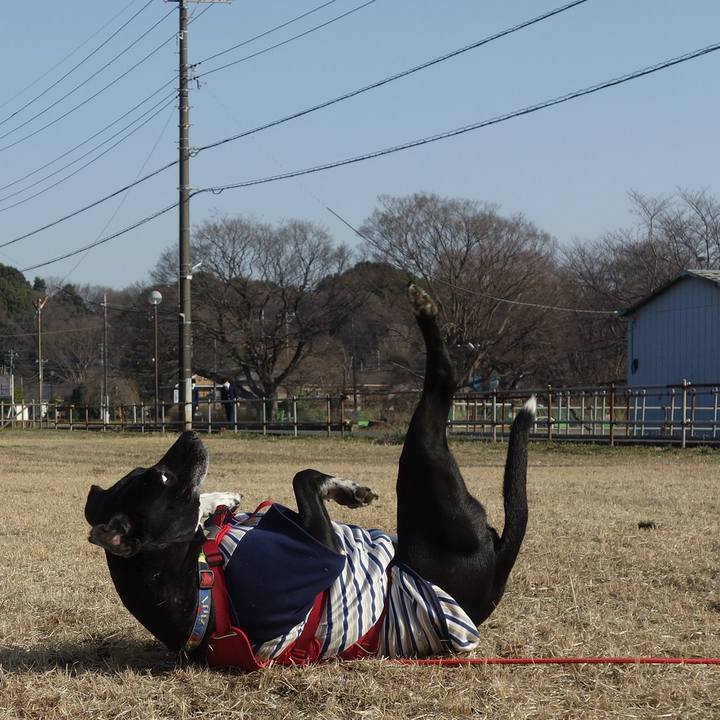 31cb25f2 089d 4a44 acb4 e80236294b89 1678236840677