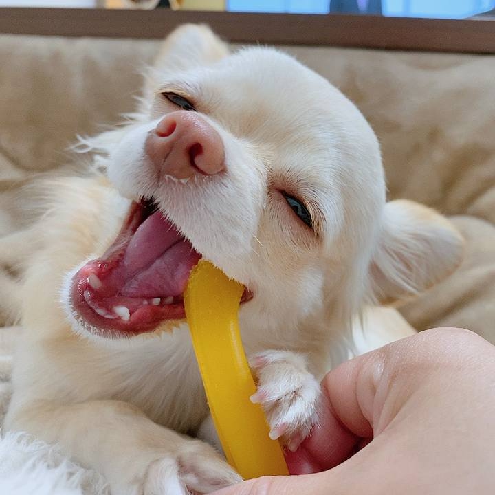 31cb3132 a0af 4ce9 89e8 063d58e27dc9 1613347584821