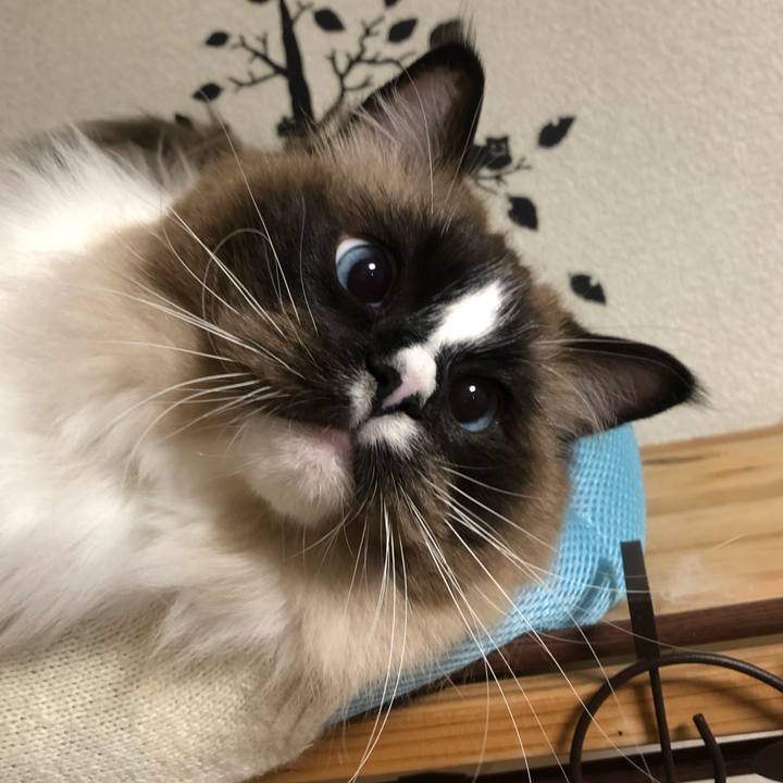 31cb3187 42ea 4503 96fa 4eeb2245646c 1552052675276