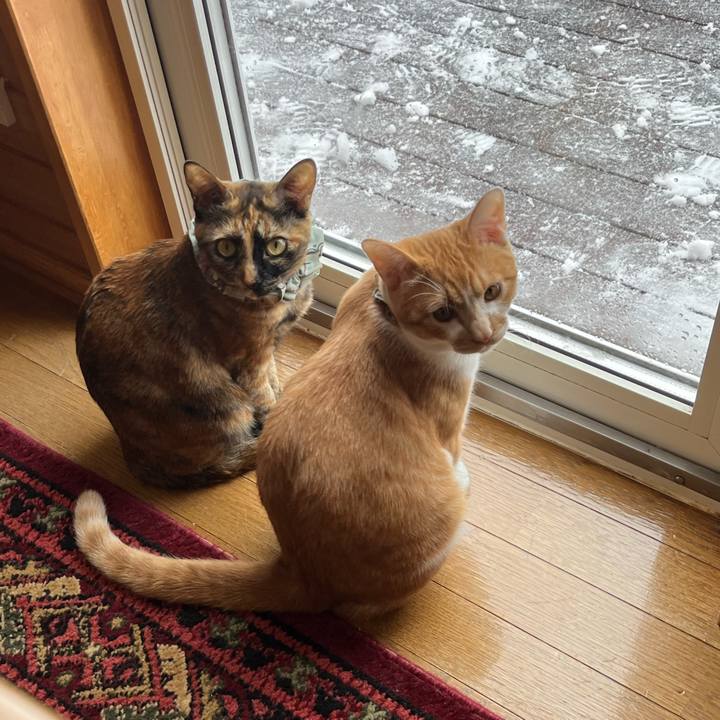 31cb5098 e32a 42ac 8967 289e63210531 1671930876753