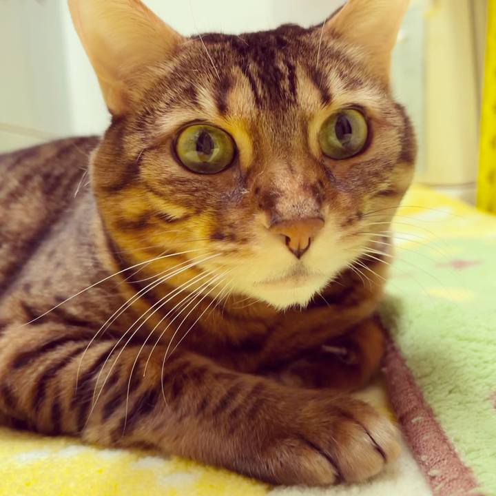 31cb59ef 0ffb 4bce af95 b969a7a6a433 1646867182940