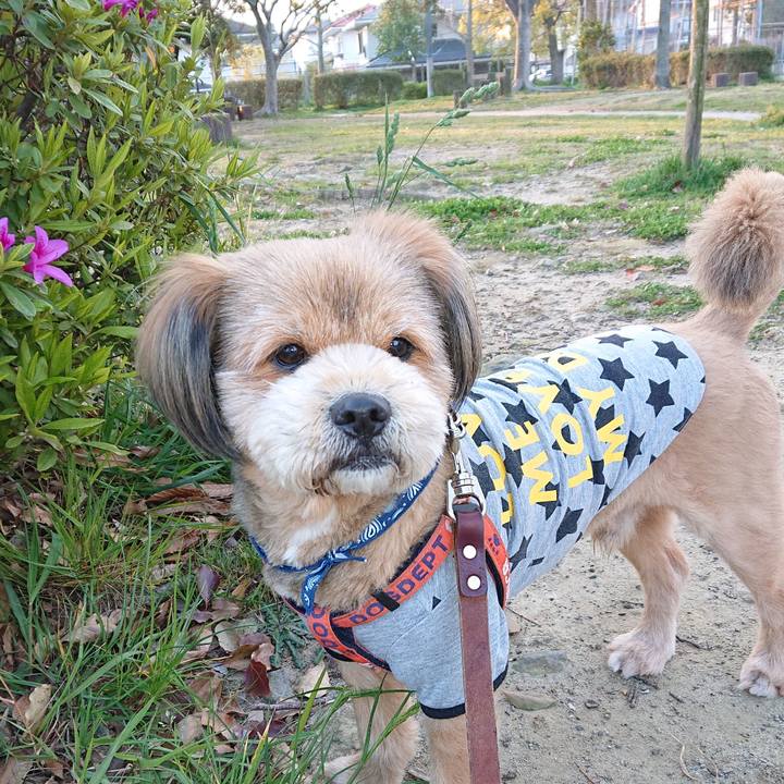 31cb611a 662a 4925 a5c0 14c6deb5c62e 1554242796412