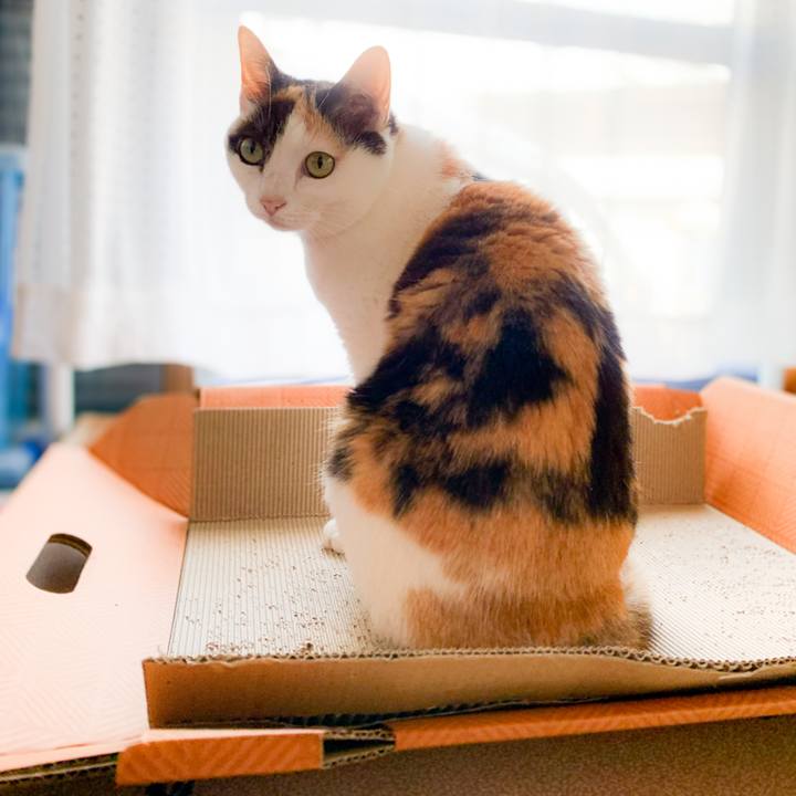 31cb6161 cd2b 4607 8725 37024a54abbb 1590110238784