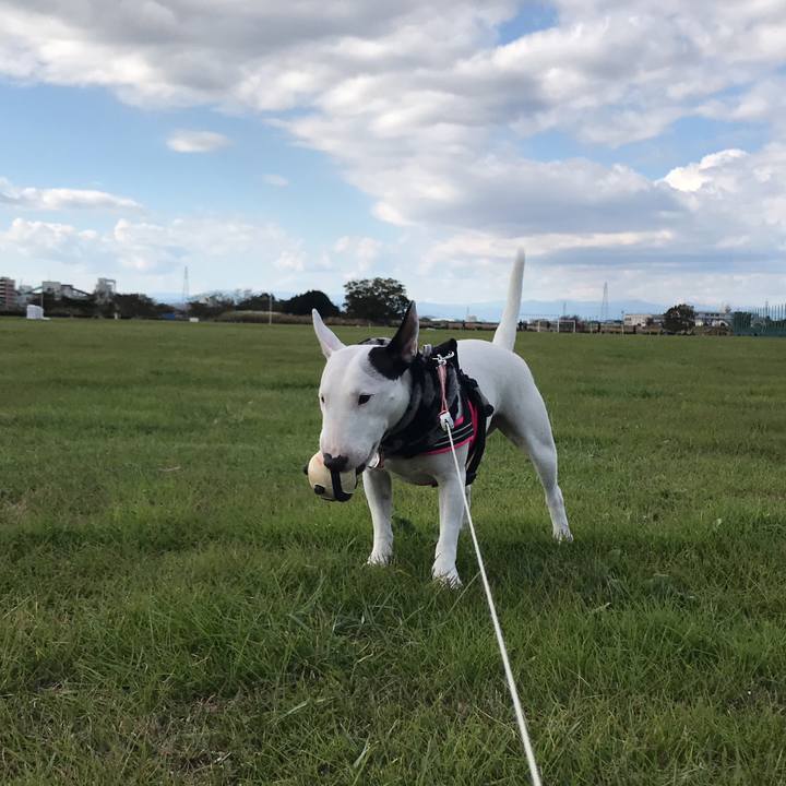 31cb7c1e 6c46 4ec6 830f d142d904af2b 1511962729905