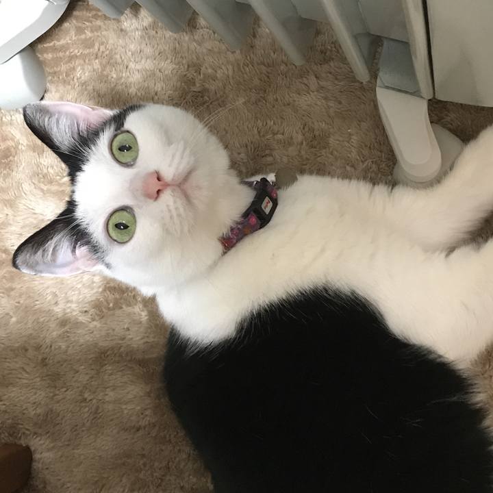 31cb9926 ad4c 4509 87db 2d61b9f588b1 1513856780656