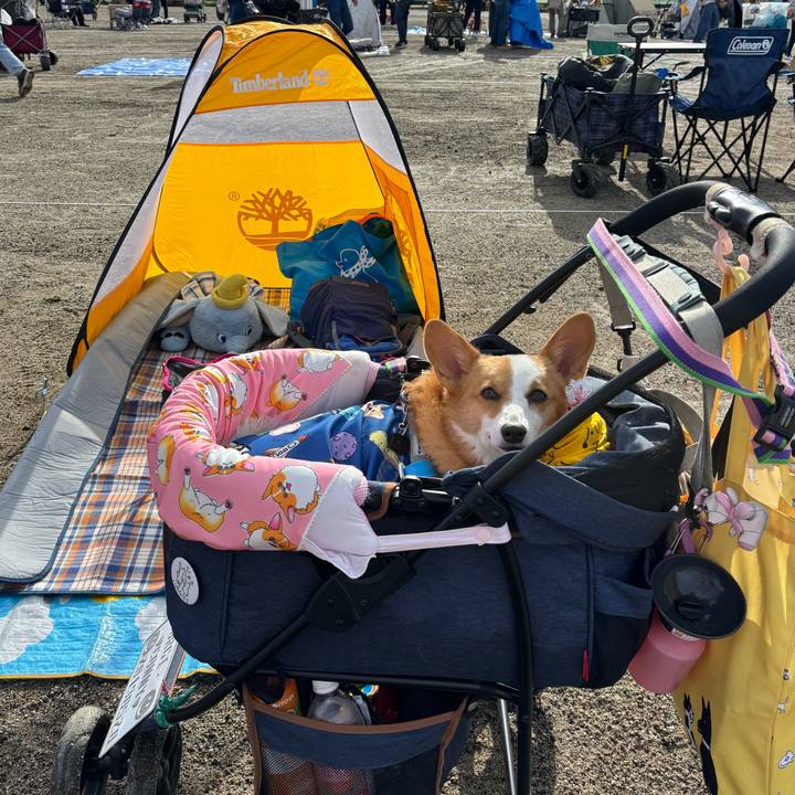 31cba1c0 4019 4fea a71e dfda50df2962 1760225281191