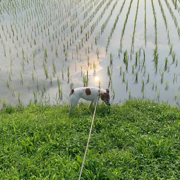 31cbca3d 4e2d 4c70 b66a 89a913782fd5 1624488715442