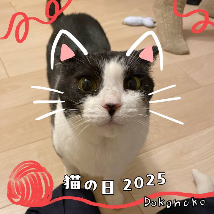 31cc11fa 7f3d 4967 a2a1 8176a60a61e9 1740227352574