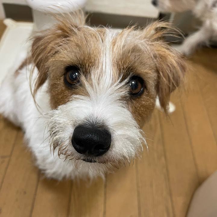 31cc1632 d3d5 49de 9287 e5d5ec3e8c7a 1770468725183