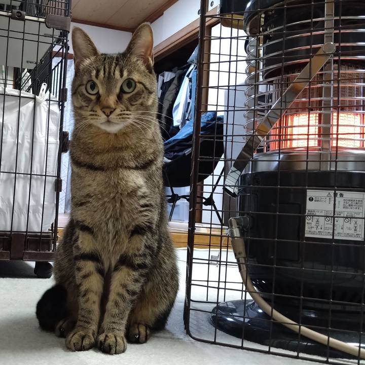 31cc2e97 305f 4f8a 8708 587c3bc2b35c 1675418819773