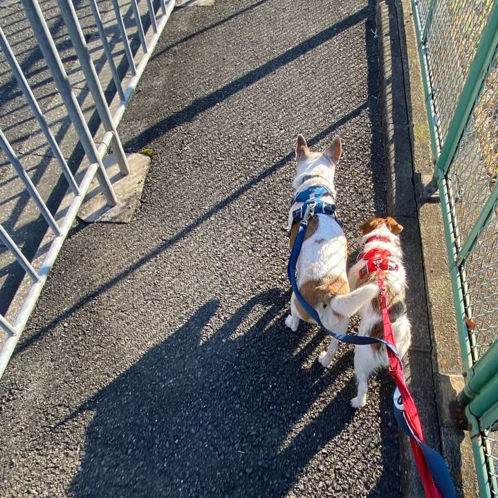 31cc6251 ac1c 41c3 b1b4 c62eefb10e48 1644023129013