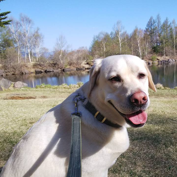 31cc713b e0dd 4b51 8a40 e83c1330eae0 1525506050018