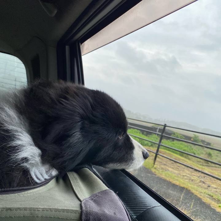 31ccac84 c537 48dd 9c90 9c86eeb32ada 1686261924368