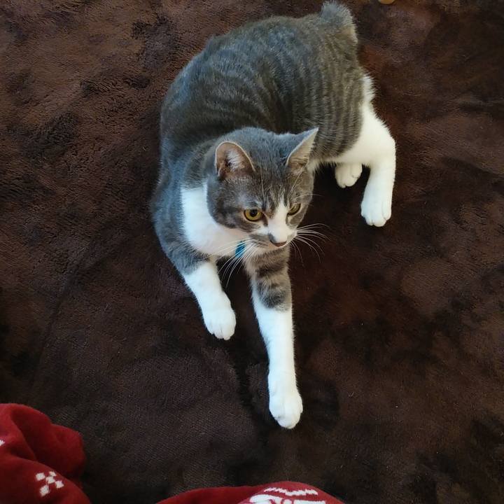 31ccbf68 6205 453e b841 04eaaa73dbdb 1583014029149