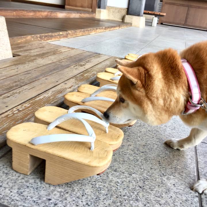 31ccce23 ba0c 4b02 9032 2876dfc9d199 1518472250677